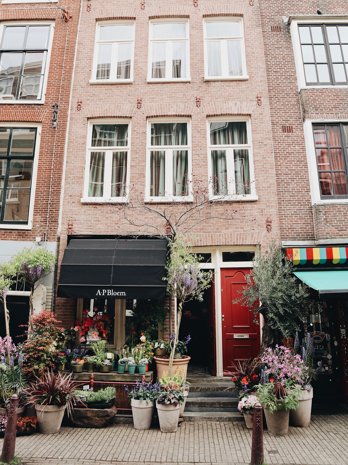 Amsterdam, Netherlands: A Photo Journal - Viaggio Magazine