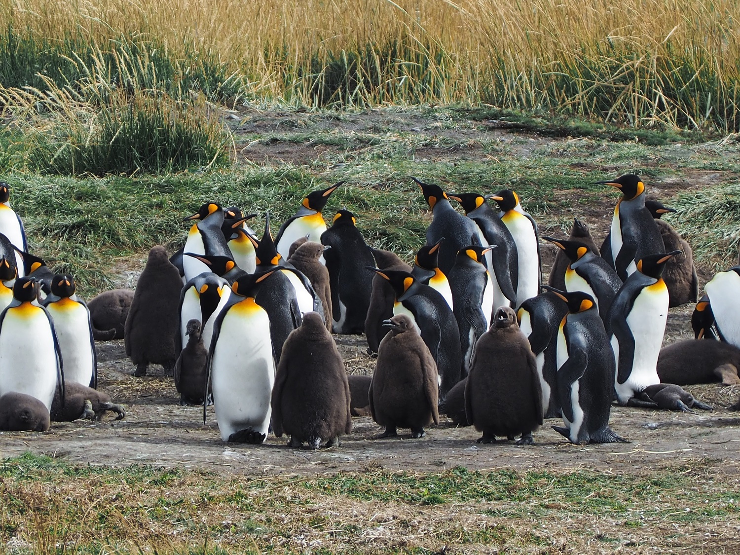 More than Mountains: Crossing the Patagonian Steppe - Viaggio Magazine